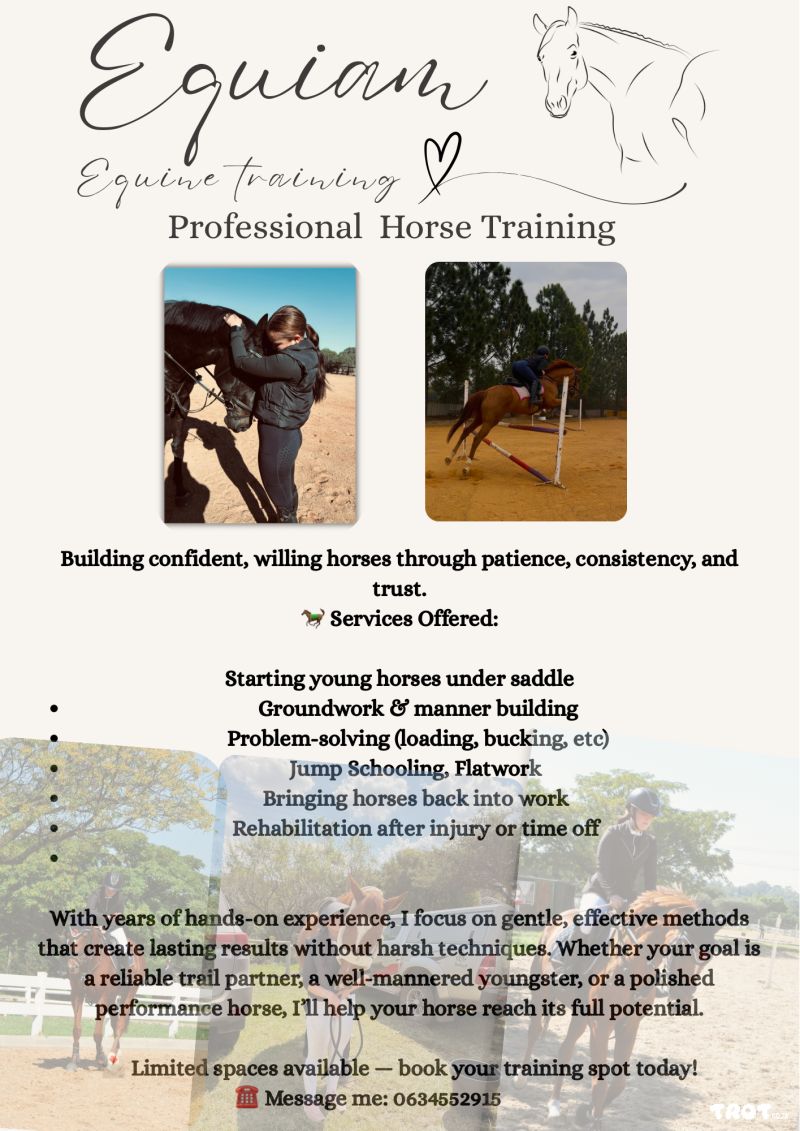 Equiam Equine Training🤍