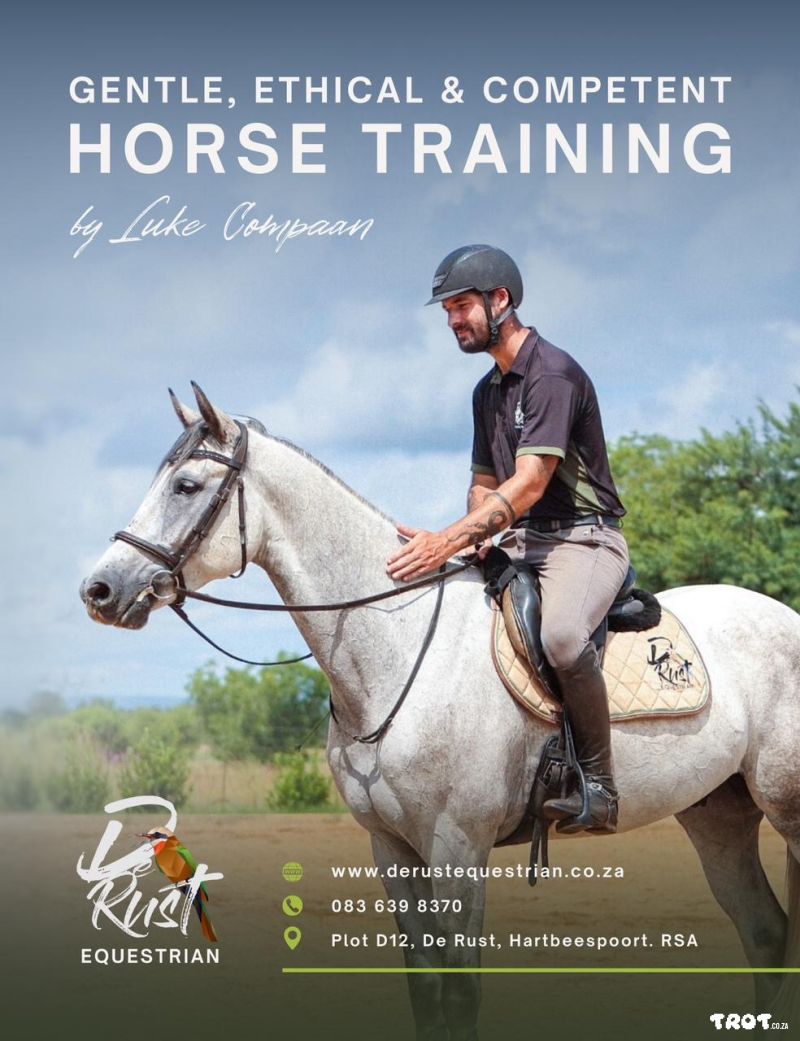 Horse Training