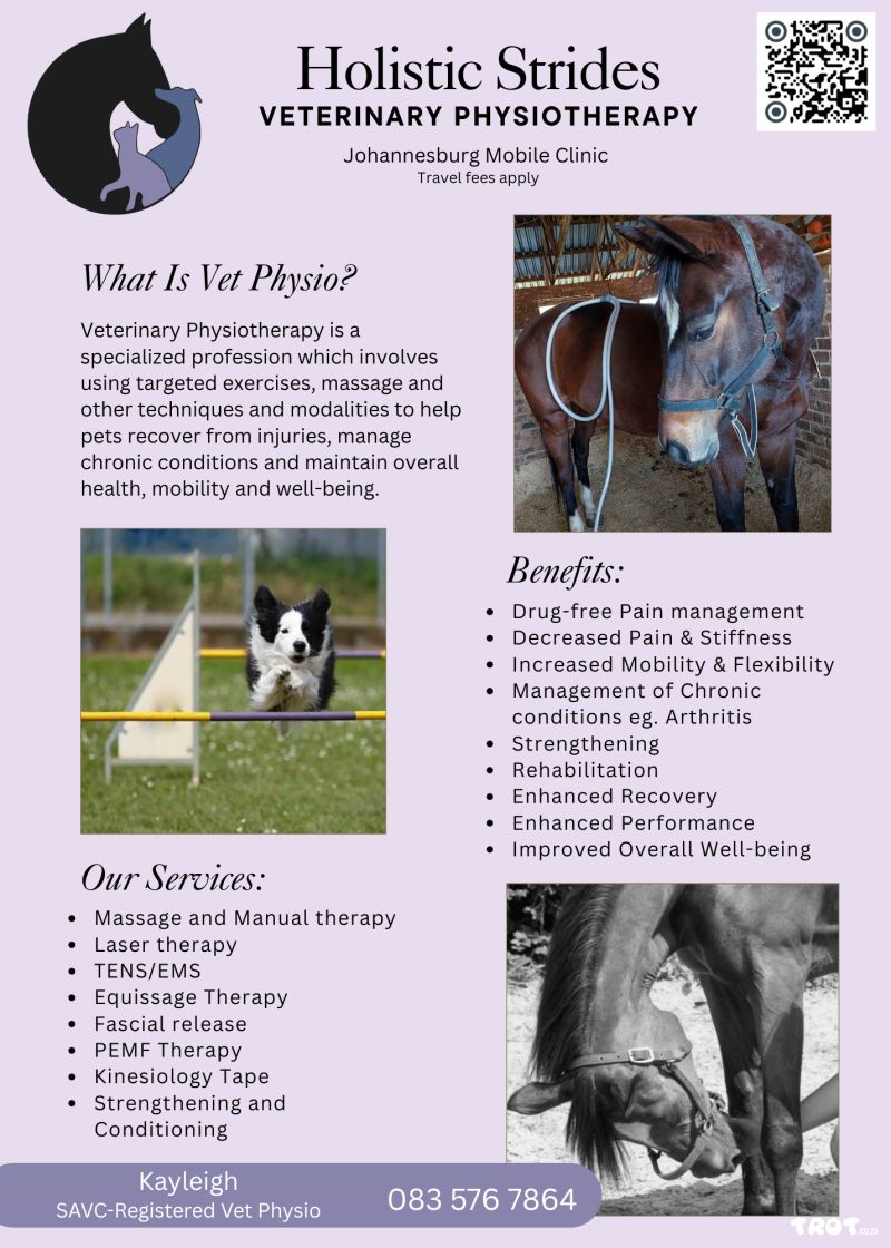 Mobile veterinary Physiotherapy 